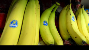 Big delle banane Chiquita far&agrave; licenziamenti di massa a Panama