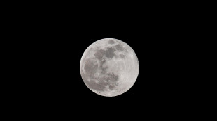 Il 5 novembre arriva la Superluna più grande del 2025