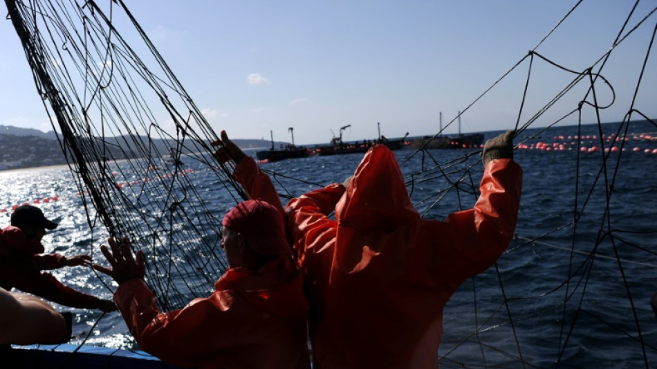 "Improbable" hallar más sobrevivientes del naufragio de un pesquero español en aguas de Canadá 