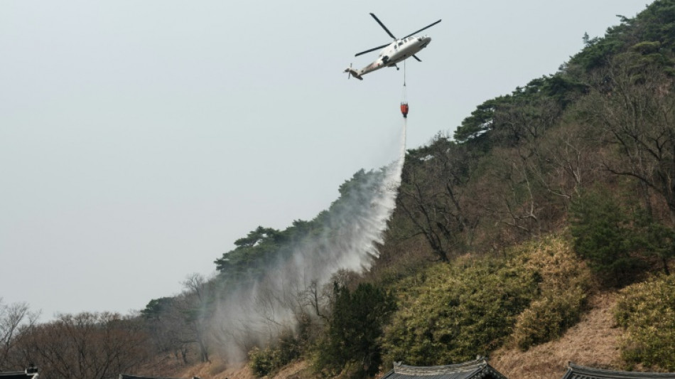 South Korea's wildfires kill 24, wreak 'unprecedented damage'