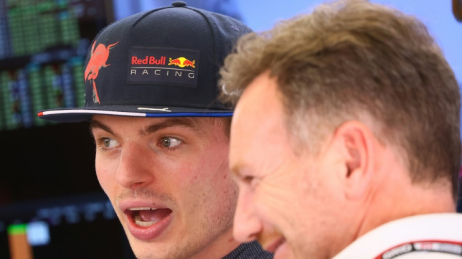 F1: Max Verstappen (Red Bull) en bref