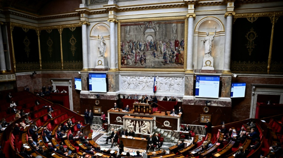 IVG dans la Constitution: la "libert&eacute; garantie" convainc l'Assembl&eacute;e