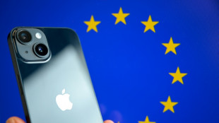 L'UE traque les failles anti-arnaques des plateformes