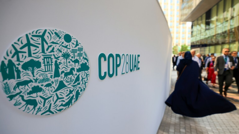 La COP28 intenta hallar un equilibrio sobre combustibles f&oacute;siles en la declaraci&oacute;n final