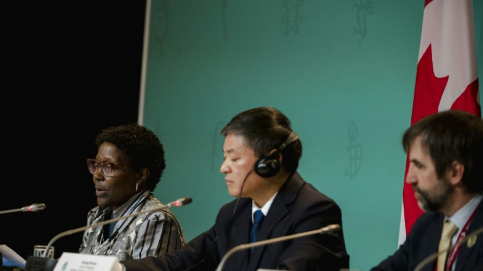 L'espoir d'un accord raviv&eacute; &agrave; la COP15 sur la biodiversit&eacute;