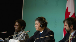 L'espoir d'un accord raviv&eacute; &agrave; la COP15 sur la biodiversit&eacute;