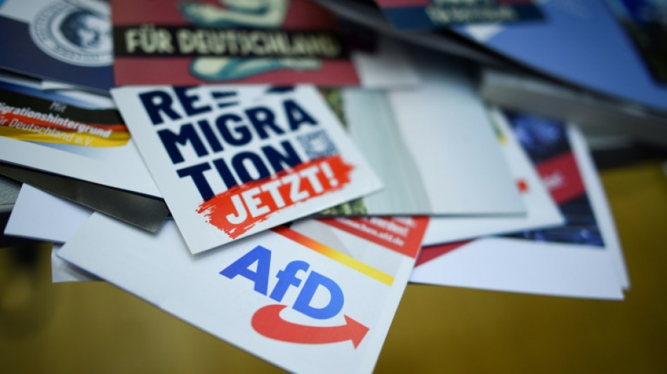 Gr&uuml;ne wollen AfD-Verbotsverfahren vorantreiben - mit Union, SPD und Linker