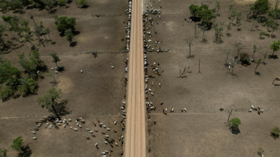 El motor agr&iacute;cola de Bolivia espera el cambio de gobierno para reactivar la marcha