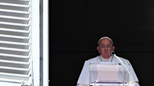 Papa exorta a 'respeitar' os capacetes azuis da ONU no L&iacute;bano