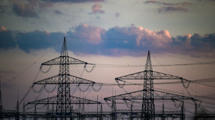 Gewerkschaften fordern vergünstigten Strom für energieintensive Branchen