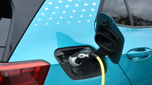 Interdiction des voitures neuves thermiques: la France veut "des flexibilit&eacute;s"