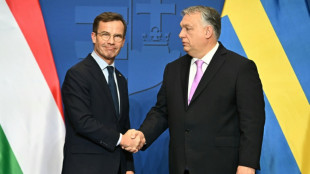 Hungría compra 4 aviones de combate a Suecia antes de la votación sobre su adhesión a la OTAN