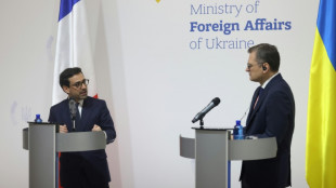 L'Ukraine "restera la priorit&eacute; de la France" malgr&eacute; la "multiplication des crises", selon S&eacute;journ&eacute;