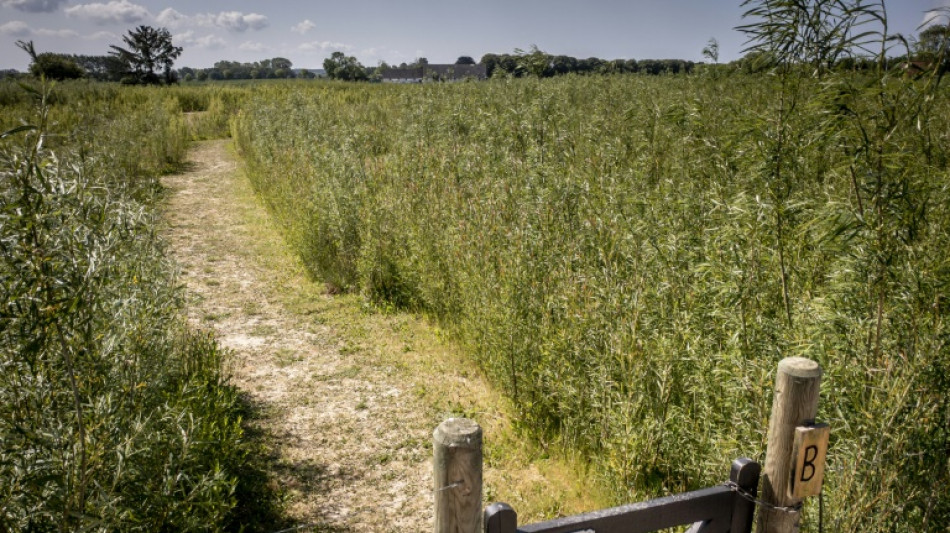 Plus de deux semaines sans pluie : S&eacute;cheresse in&eacute;dite au Danemark depuis 2006