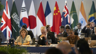 G20 acuerda impulsar mecanismos financieros "innovadores" contra el cambio clim&aacute;tico