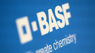 BASF startet Zentrum für Batteriematerialien und -recycling in der Lausitz