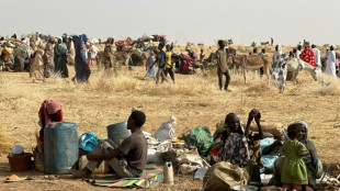 M&aacute;s de 400 muertos en Sud&aacute;n a manos de los paramilitares, seg&uacute;n fuentes citadas por la ONU
