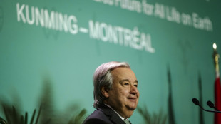 La protecci&oacute;n de los mares "ha tardado demasiado", critica el jefe de la ONU