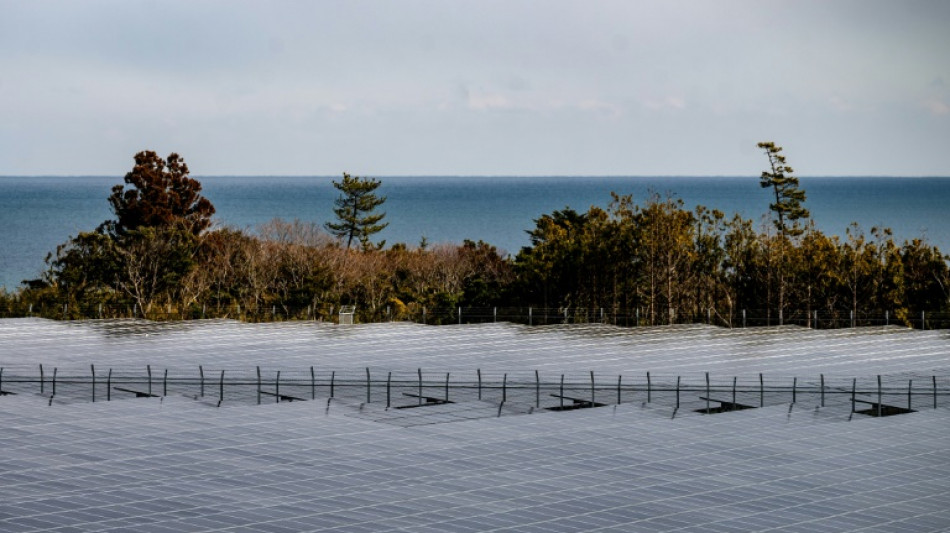 Fukushima region forges renewable future after nuclear disaster