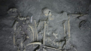 Antiguos mayas regalaban a sus vecinos un mono ara&ntilde;a para estrechar lazos