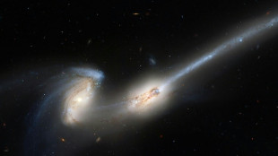 La Vía Láctea posiblemente escapará a una colisión con Andrómeda 