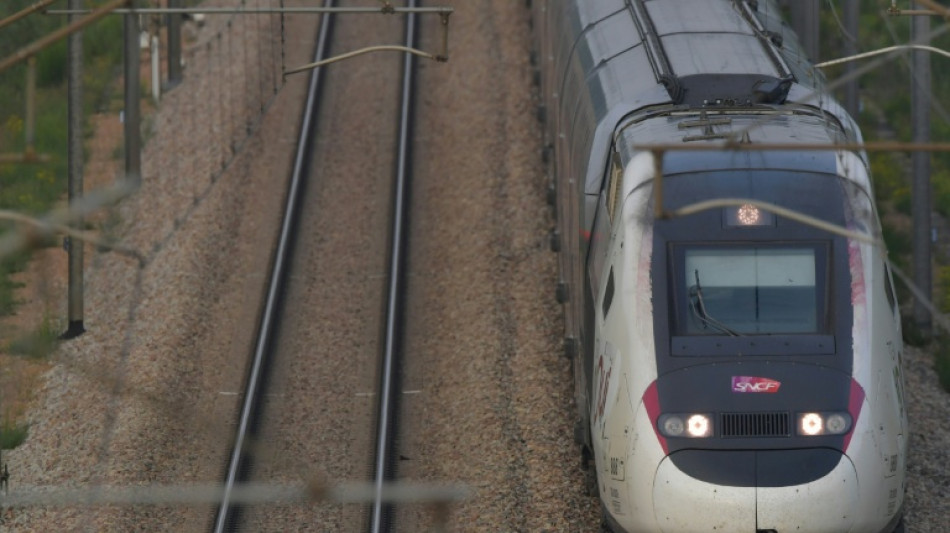 Gr&egrave;ve SNCF: trafic quasiment normal pr&eacute;vu mercredi, affirme le ministre des Transports