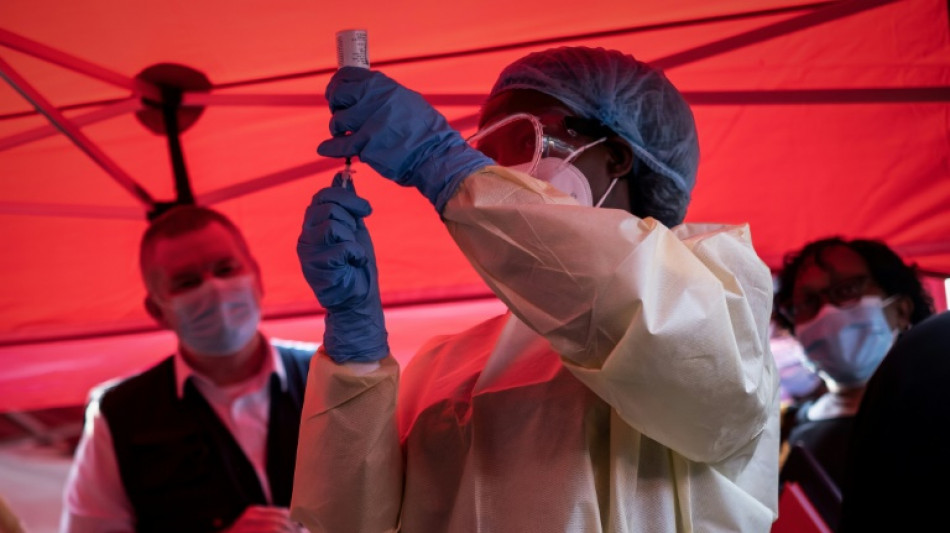 Ebola: la gu&eacute;rison d'un singe gr&acirc;ce &agrave; un traitement suscite des espoirs, selon une &eacute;tude