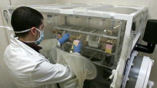 Dai guardiani del cervello una nuova arma contro l'Alzheimer