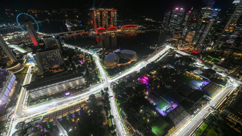 F1: McLaren vise le sacre &agrave; Singapour, Verstappen la remontada