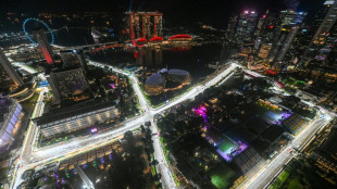 F1: McLaren vise le sacre &agrave; Singapour, Verstappen la remontada