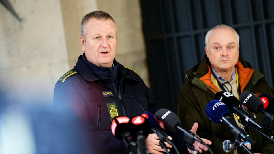 Vier Festnahmen bei Anti-Terror-Einsatz in D&auml;nemark und den Niederlanden