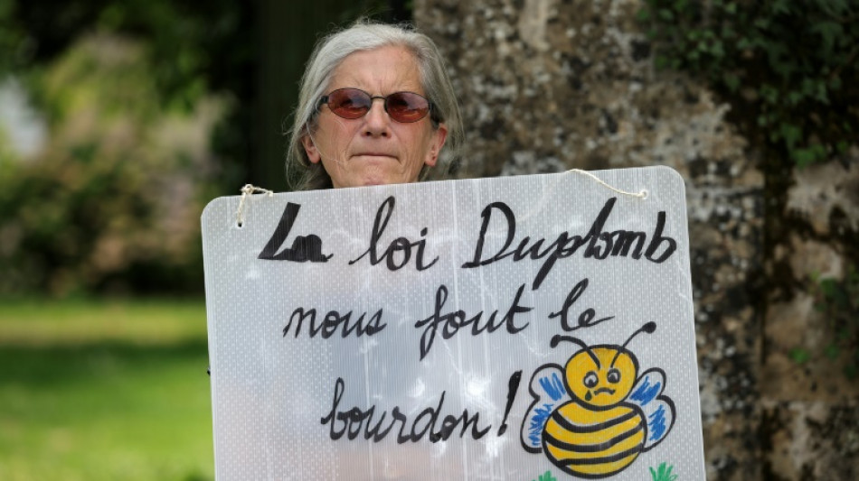 France strikes down return of banned bee-killing pesticide 
