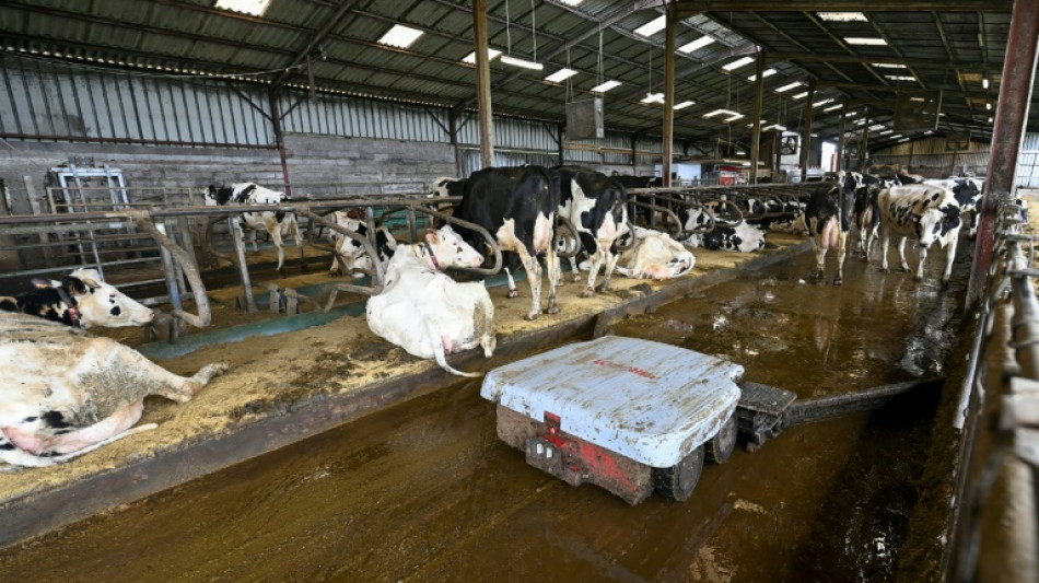 La micro-m&eacute;thanisation, un moyen de "diversification" pour les &eacute;leveurs laitiers