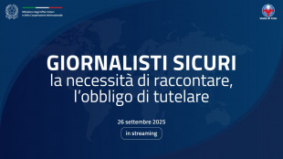La Farnesina organizza il seminario 'Giornalisti sicuri'