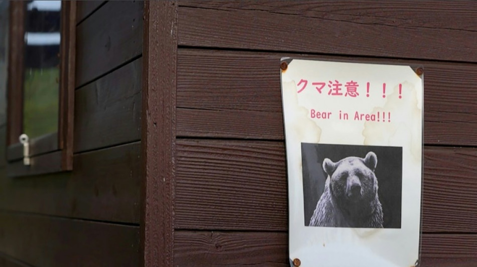 "C'est comme &ccedil;a que je vais mourir": le Japon terroris&eacute; par des attaques d'ours de plus en plus nombreuses