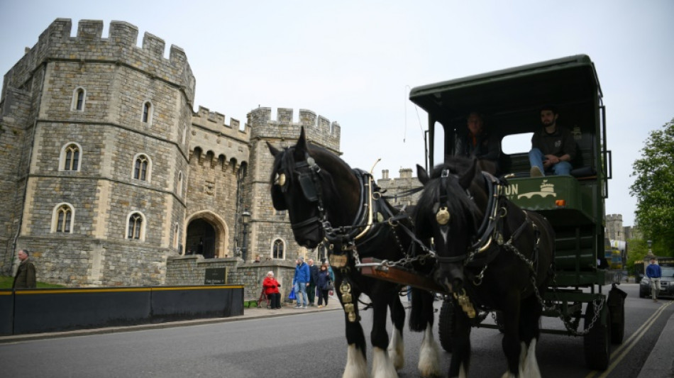 Windsor effervescente &agrave; un mois des festivit&eacute;s du jubil&eacute; d'Elizabeth II