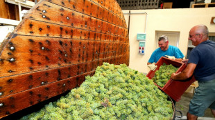 "Au&szlig;ergew&ouml;hnliches" Champagner-Jahr trotz Hitze und D&uuml;rre im Sommer