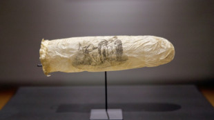 Museu de Amsterd&atilde; exibe preservativo do s&eacute;culo XIX com gravura er&oacute;tica