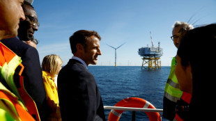 Frankreich will Ausbau erneuerbarer Energien beschleunigen