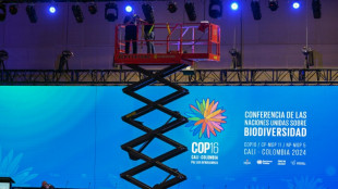 M&aacute;s de 40 p&aacute;jaros cantan el himno de Colombia a puertas de la COP16