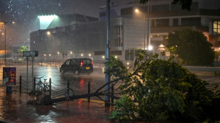Saola touche terre dans le sud de la Chine, r&eacute;trograd&eacute; au rang de typhon violent
