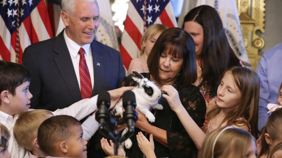 Unexpected star of gay rights best-seller, Pence family rabbit dies