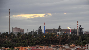 Ex Ilva: Flacks punta chiudere a marzo, presenteremo la documentazione entro il 12
