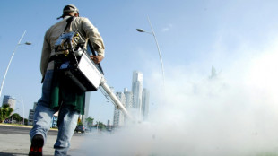 Guatemala y Panamá, los más afectados por una ola de dengue en Centroamérica