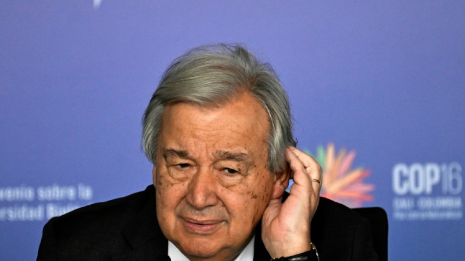 Negocia&ccedil;&otilde;es estagnadas na reta final da COP16 da biodiversidade