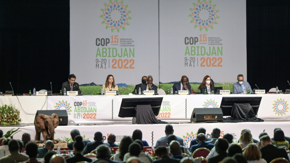 A Abidjan, la COP15 s'engage sur la restauration d'un milliard d'hectares de terres d&eacute;grad&eacute;es d'ici 2030