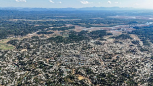 Birmania afirma ante la CIJ que las acusaciones de genocidio contra los rohiny&aacute; son "infundadas"