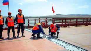 Russia, North Korea connect road bridge ahead of summer opening