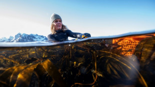 Dans le nord de la Norv&egrave;ge, les algues comme mets gastronomique