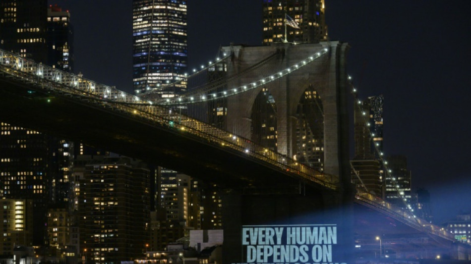 "Energie positive" &agrave; l'ONU qui tente de prot&eacute;ger enfin la haute mer 